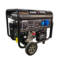 Бензиновый генератор Zammer S8500CXE 2-х тактный фото