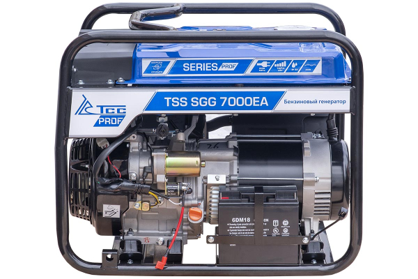 Бензиновый генератор ТСС SGG 7000EA в кожухе МК-1.1 фото