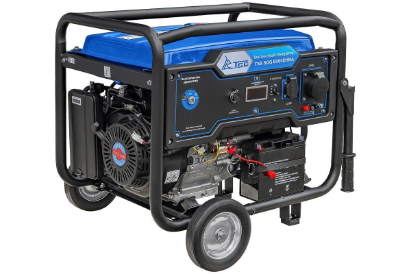 Бензиновый генератор ТСС SGG 8000EHNA портативный фото